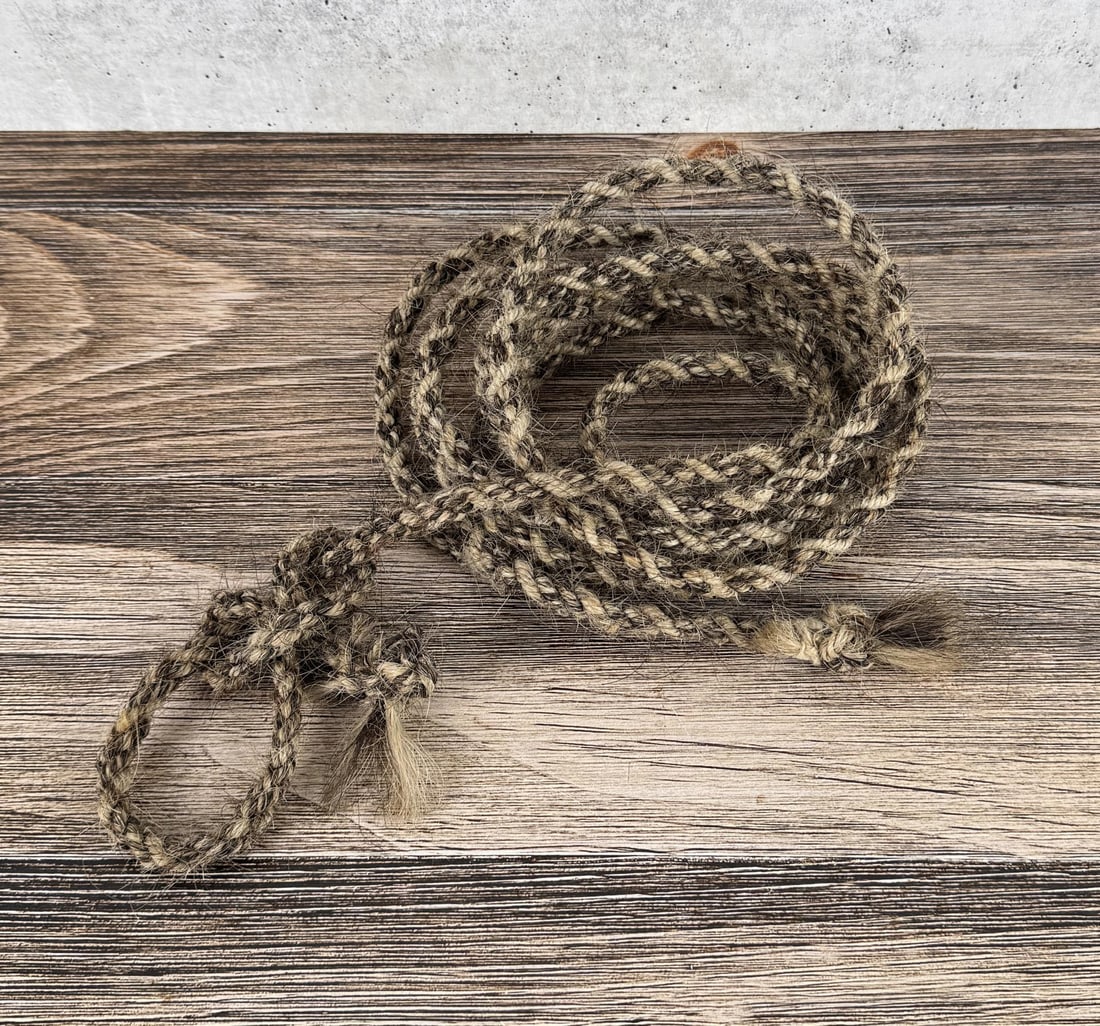 Antique Braided Horsehair Lead Rope: 167" long.