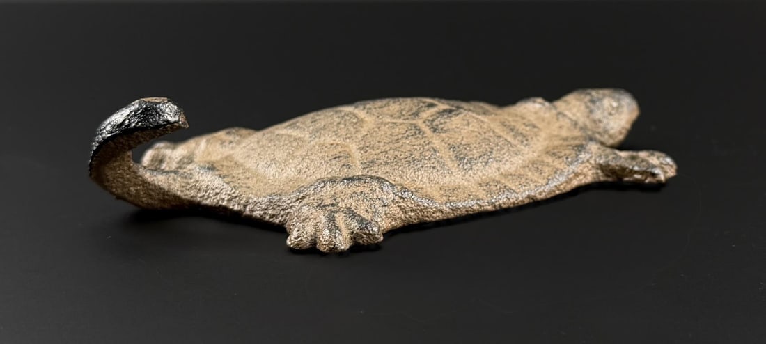 Cast Iron Turtle Coat Hook - 3