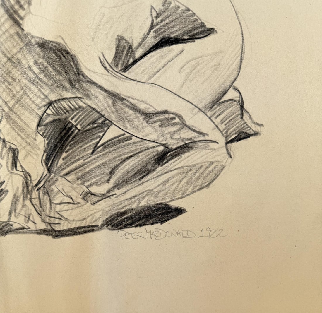 Peter MacDonald Drawing - 2