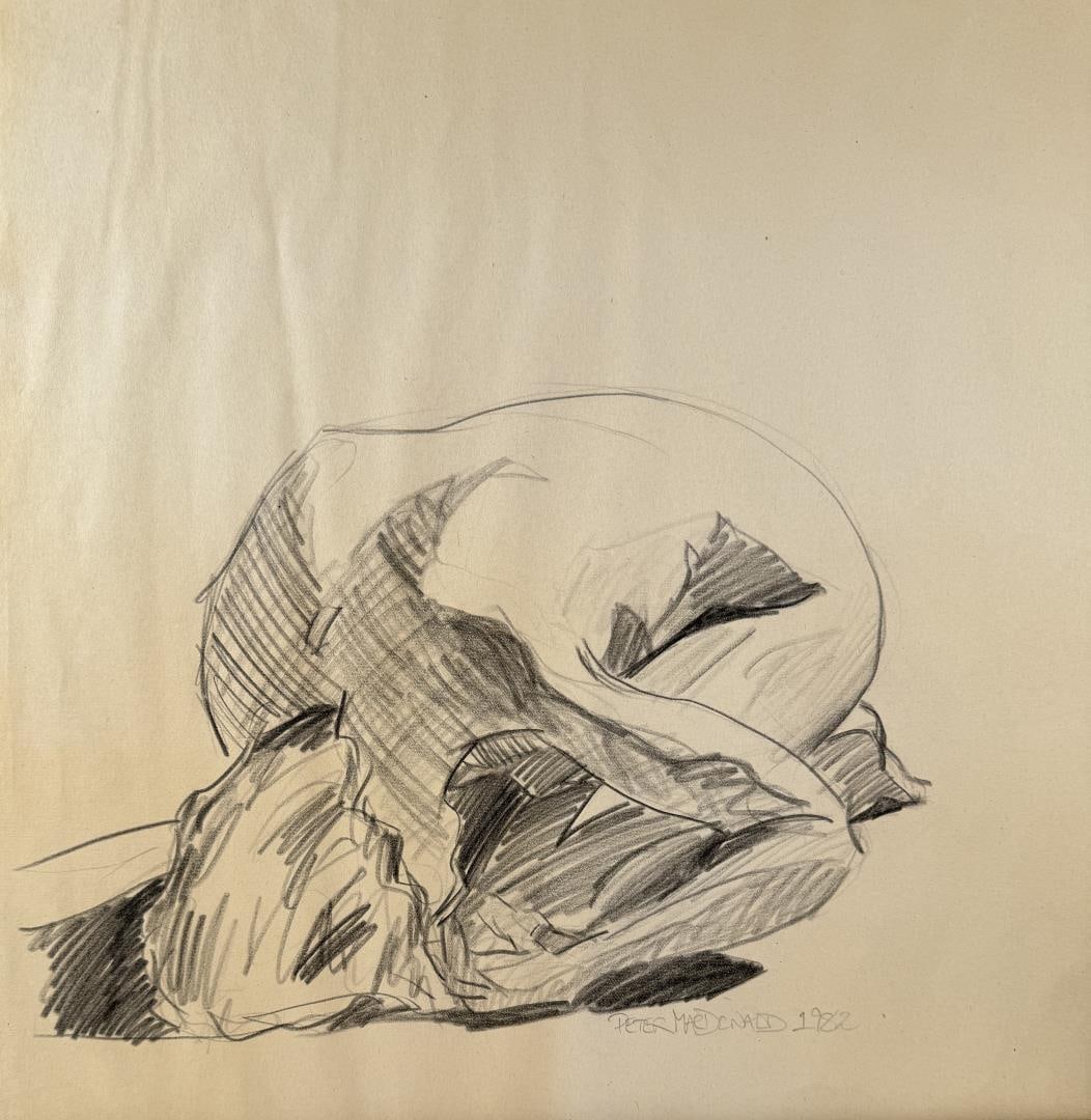 Peter MacDonald Drawing - 3