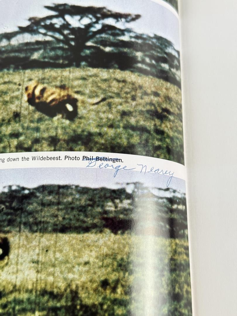 Safari Author Signed - 6