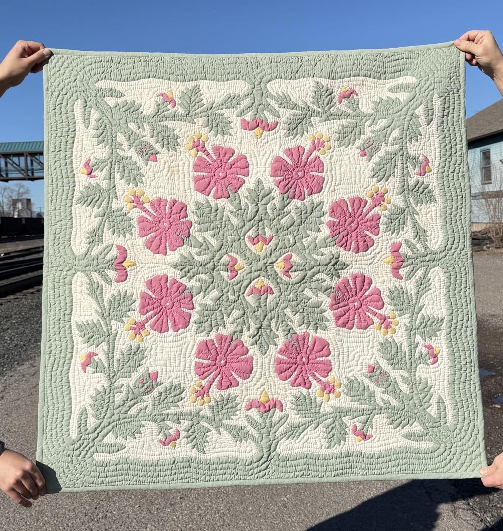 1920s Hawaiian Applique Quilt (1 of 5)