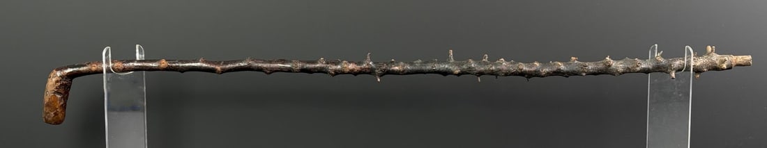 Irish Blackthorn Shillelagh Walking Stick Club: 32 7/8" long.