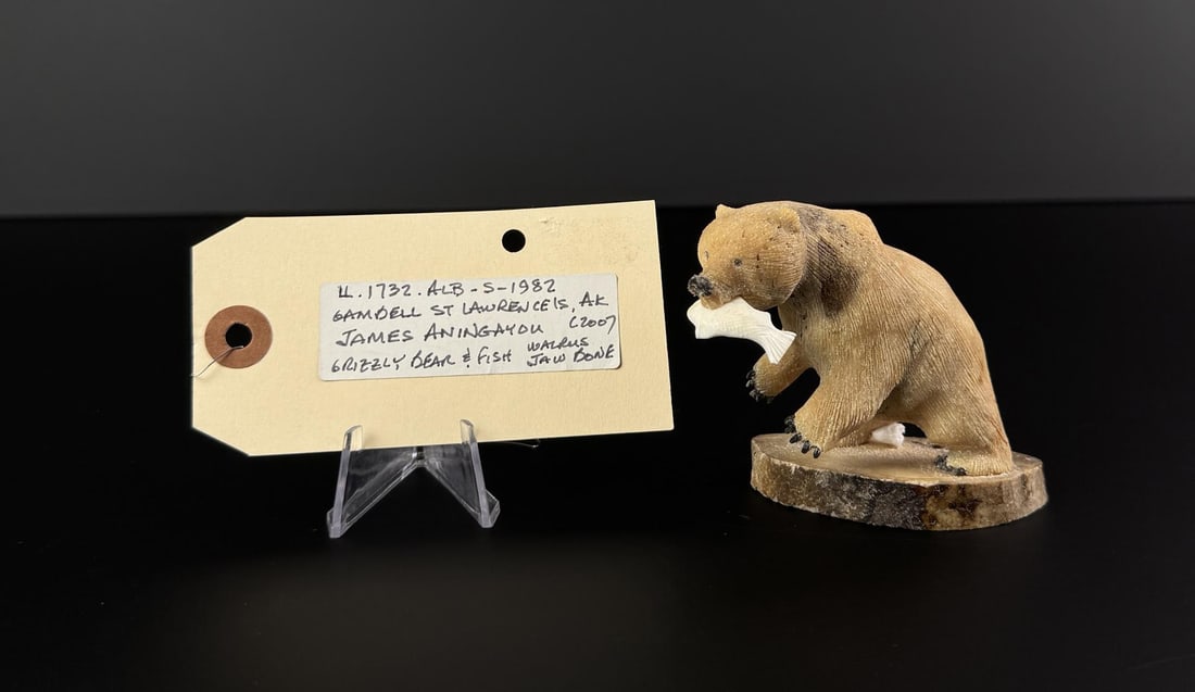 James Aningayou Inuit Eskimo Grizzly Bear Carving: 3 3/4" by 3" by 2". Carved Walrus Ivory. Native made prior to 1972. This item cannot be shipped to Oregon, California, Hawaii, New York, New Jersey, Internationally, or any other state that prohibits.