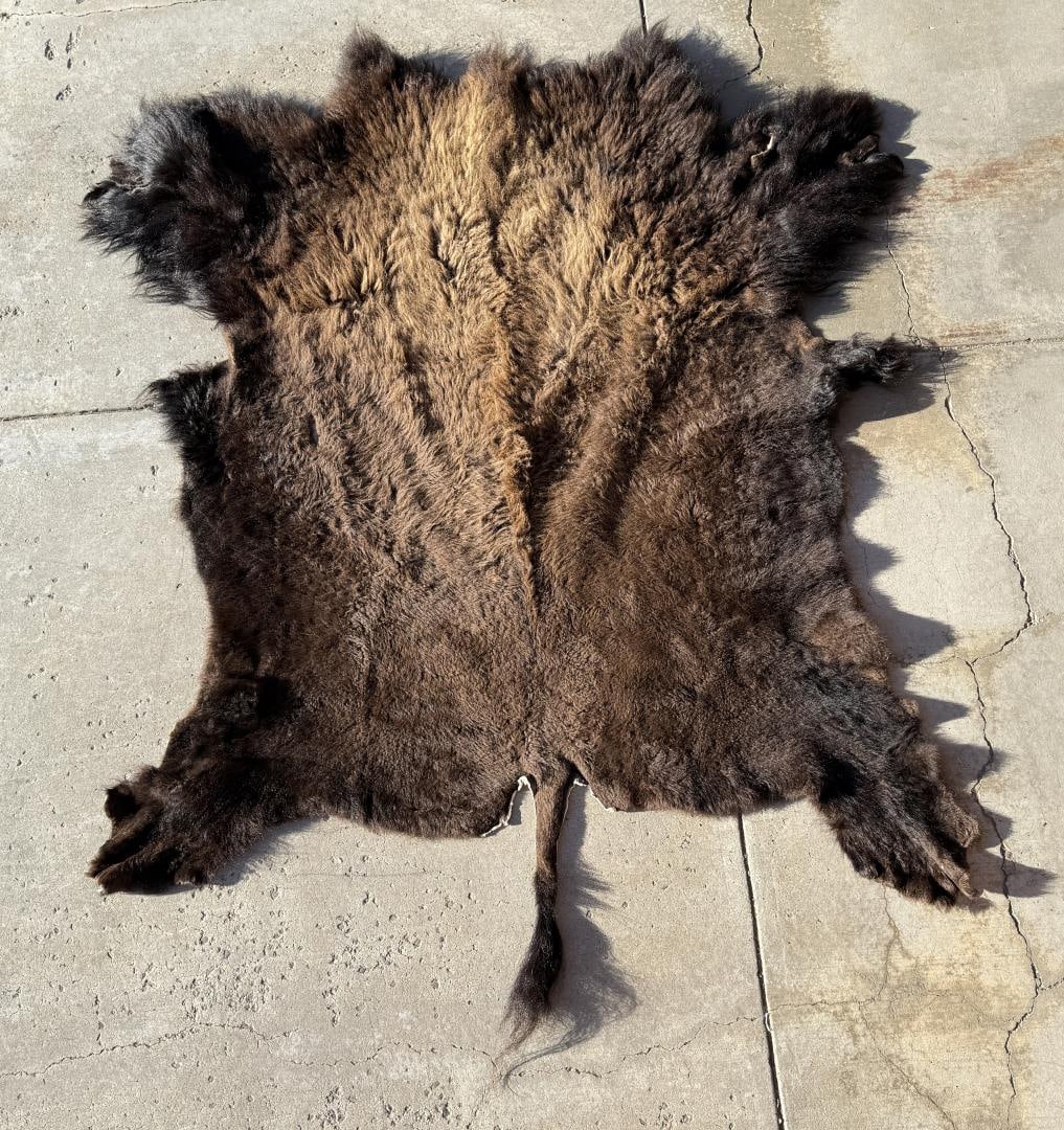 Taxidermy Montana Buffalo Hide Robe Rug (1 of 10)