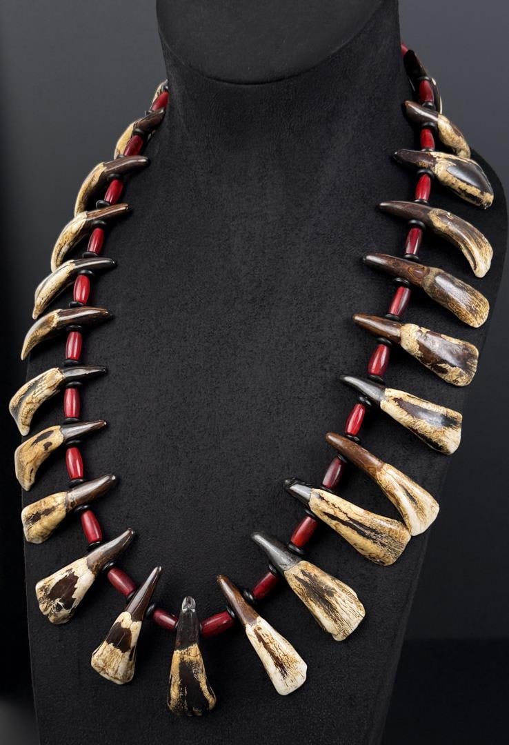 Plains Indian Buffalo Tooth Necklace: 14 3/4" long as displayed.