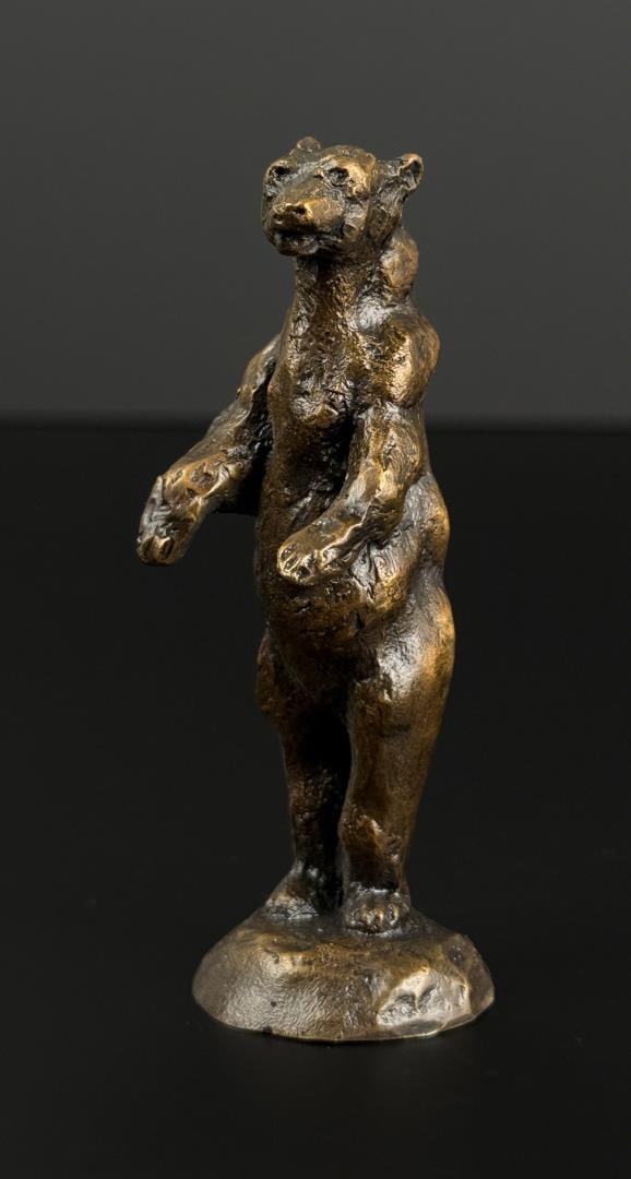 Daro Flood Alert Bear Bronze (1 of 9)
