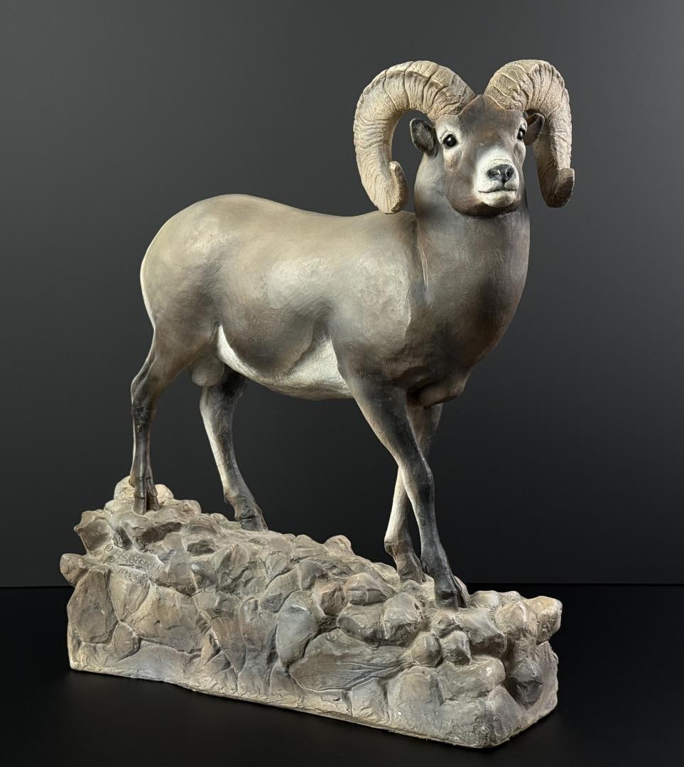 Bob Scriver Montana Big Horn Sheep Plaster Model: Title is Harold's Ram. 18 3/8" by 16 7/8" by 6 1/4". Signed and dated 1955. This is the 1 of 1 pre bronze production plaster model. Some repair work as shown, as to be expected. Bob (Robert Macfie) Sc