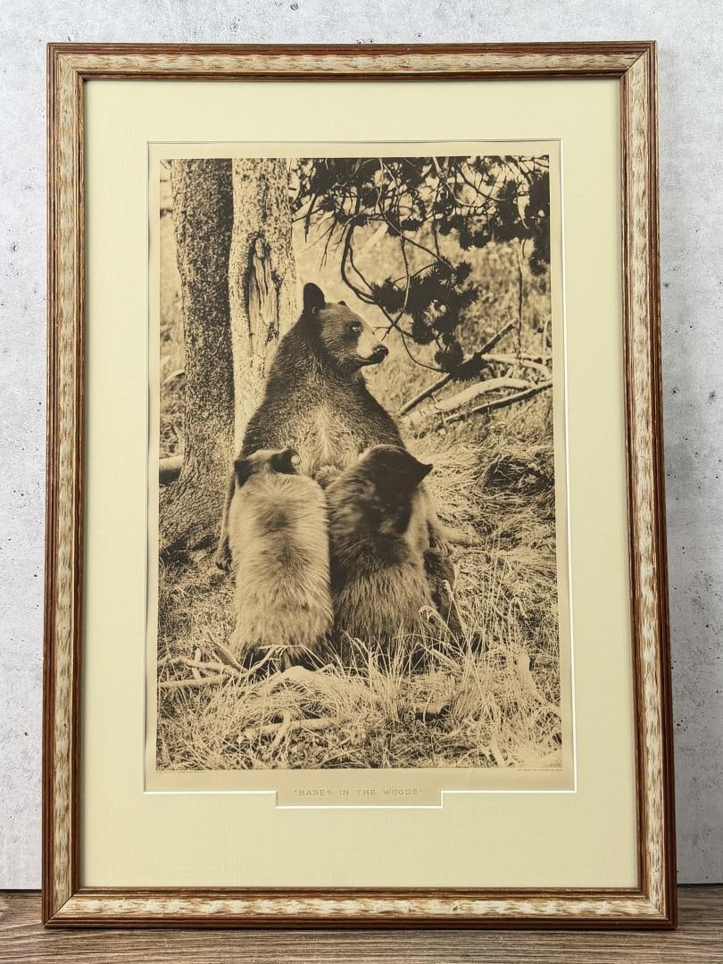 Frank Jay Haynes Yellowstone Park Photogravure: Babes in the Woods. 17" by 24" framed.