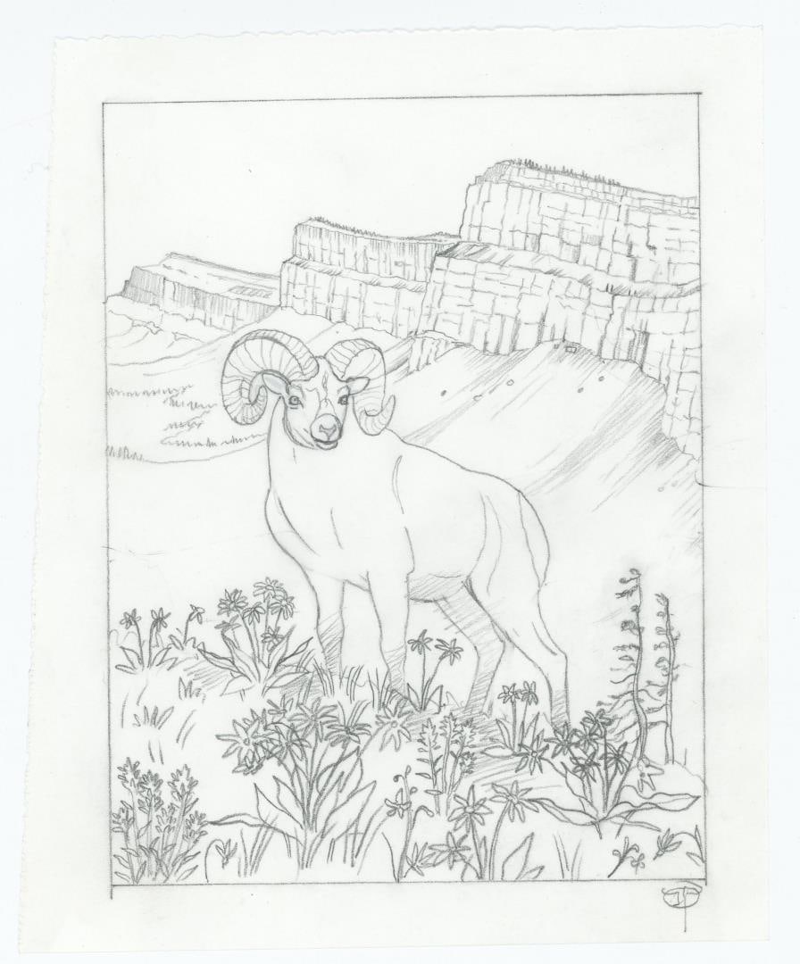 Monte Dolack Bayern Brewing Maibock Study: A study of the label designed for Bayern Brewing's Maibock Beer. 7 5/8" by 6 1/4" Monte Dolack (Born 1950) is active/lives in Montana. Monte Dolack is known for Poster illustration, landscape and wild