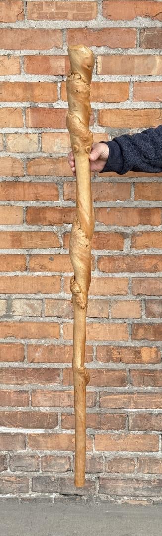 Freeform Burl Carved Walking Stick Cane: 46" long.