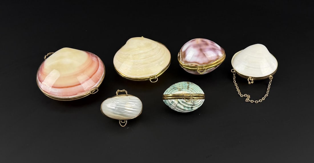 Collection of Clam Shell Trinket Boxes: 6 total.