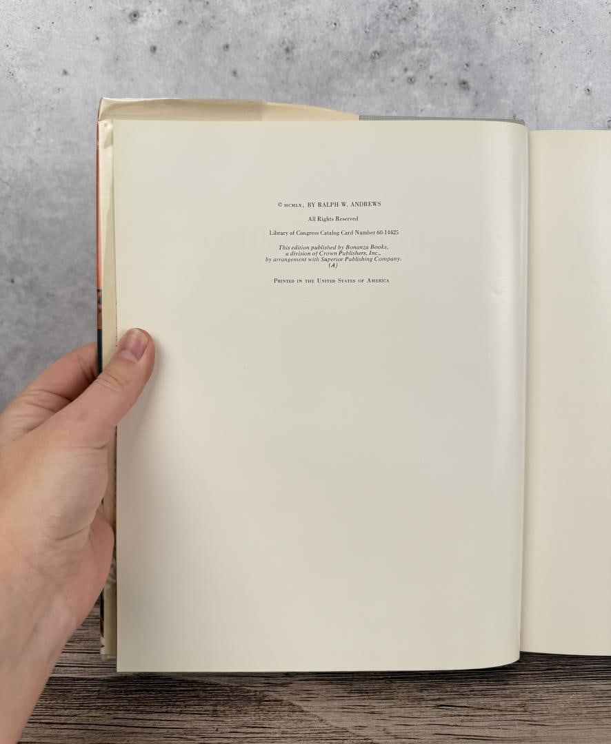 Indian Primitive - 4