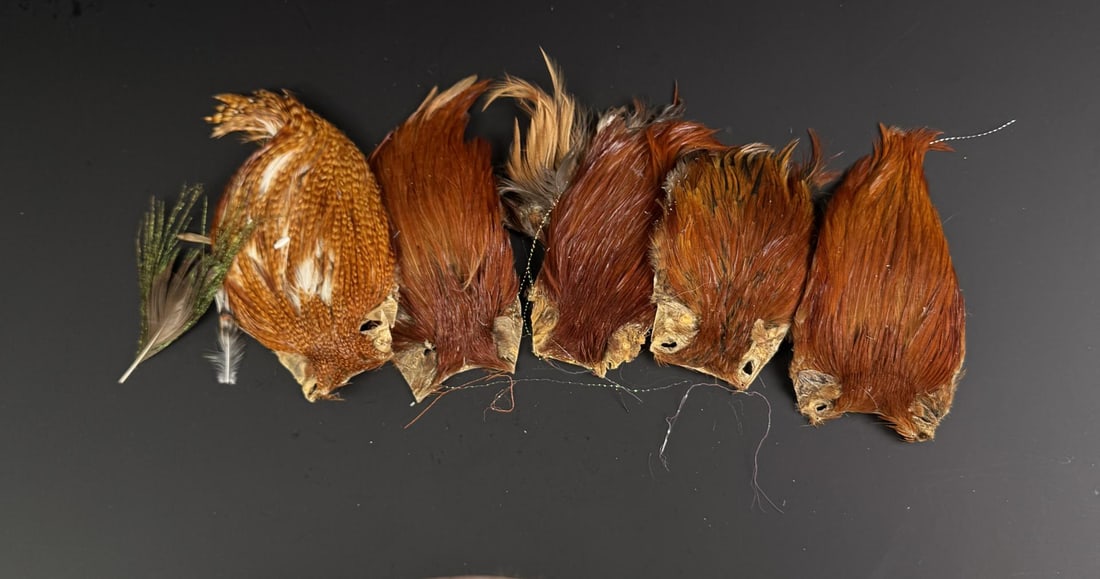 Group of Assorted Hackle Fly Tying Material: Nice grouping.