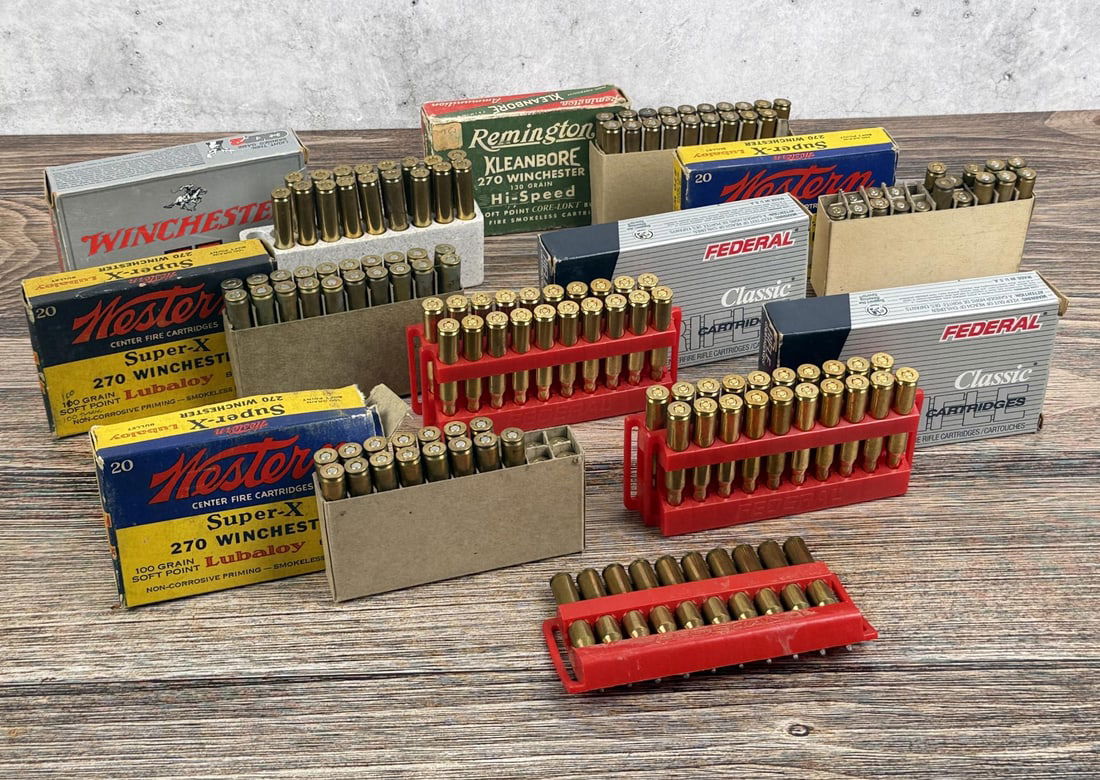 Collection of Assorted Ammo (1 of 14)