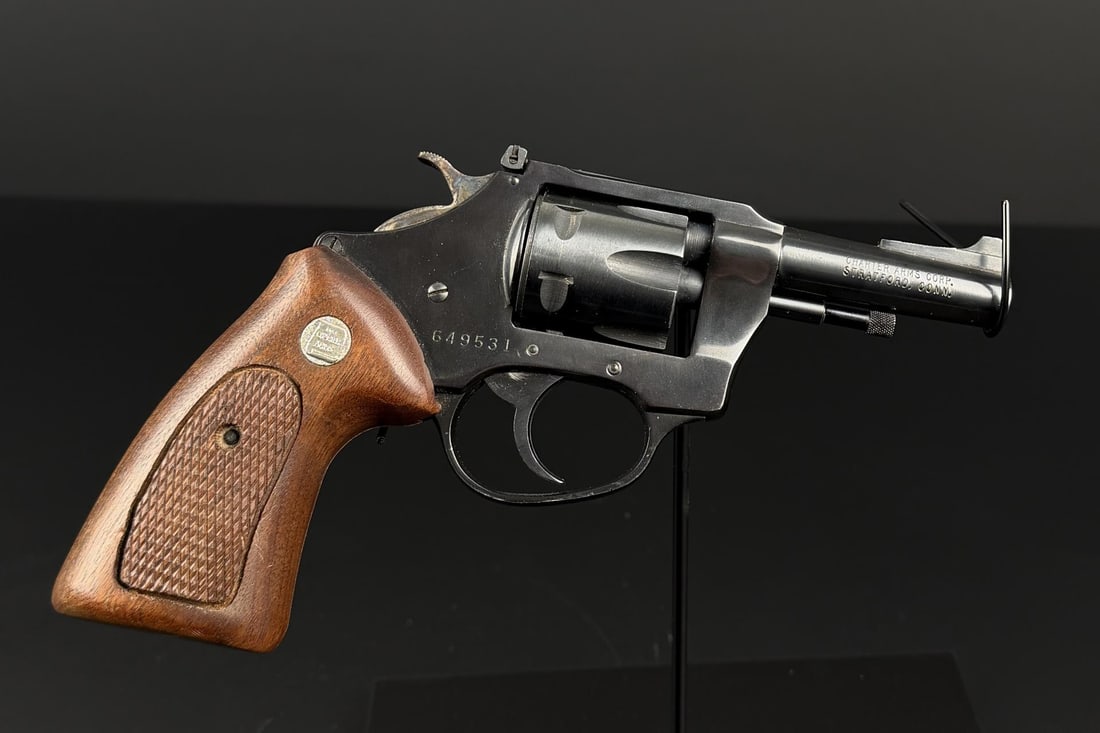 Charter Arms Pathfinder .22 mag Revolver (1 of 7)