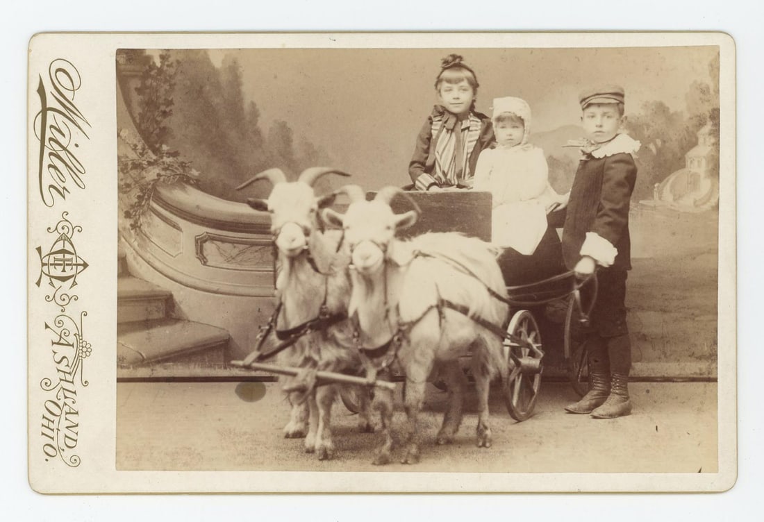 Children with Goat Cart Cabinet Photo (1 of 3)