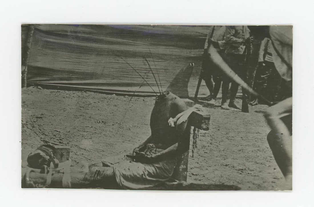 Xinhai Revolution China Execution RPPC Postcard: Unusual and graphic image.