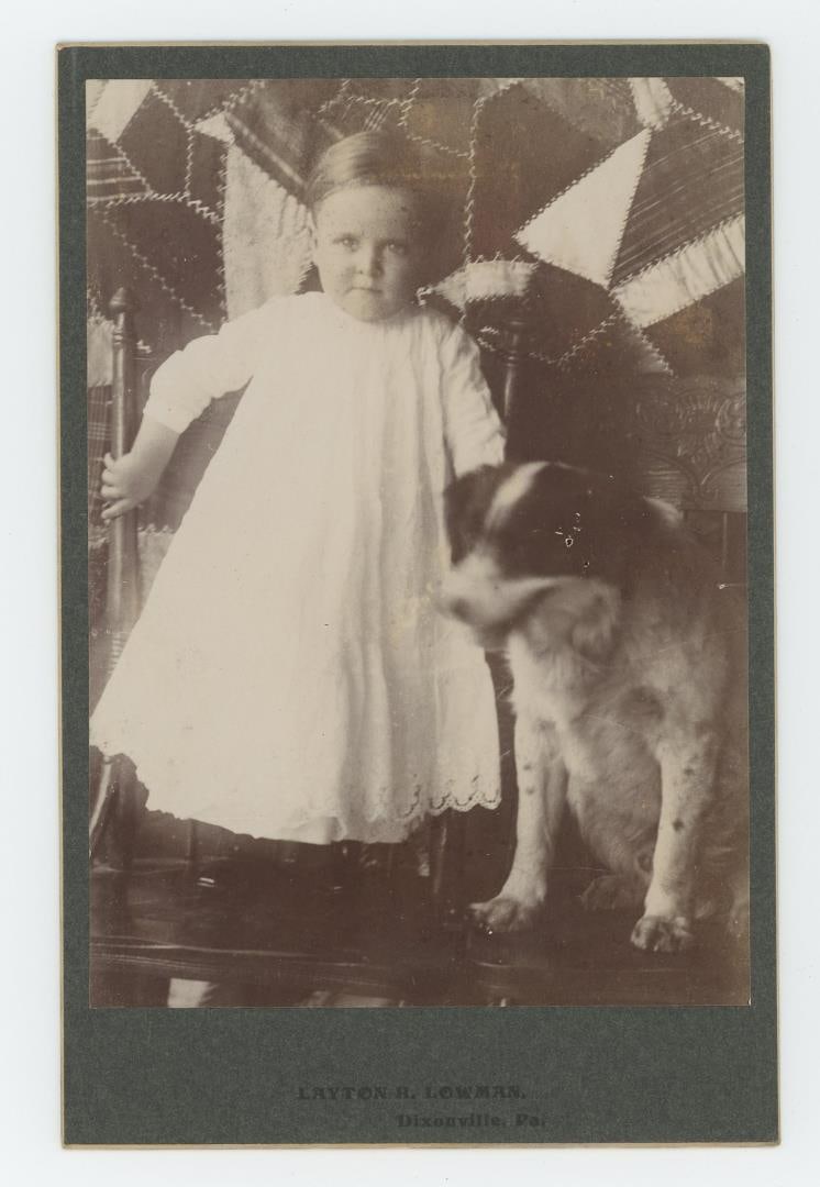 Pennsylvania Crazy Quilt Dog Cabinet Photo (1 of 3)