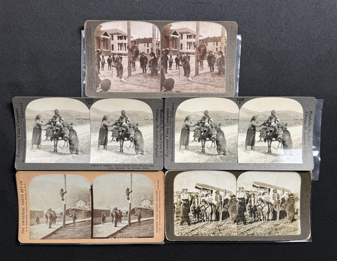 Collection of Acrobatic Bear Trainer Stereoviews (1 of 5)