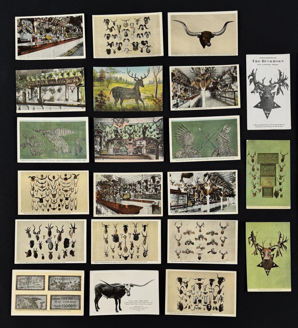 Group of Texas Taxidermy Postcards (1 of 3)