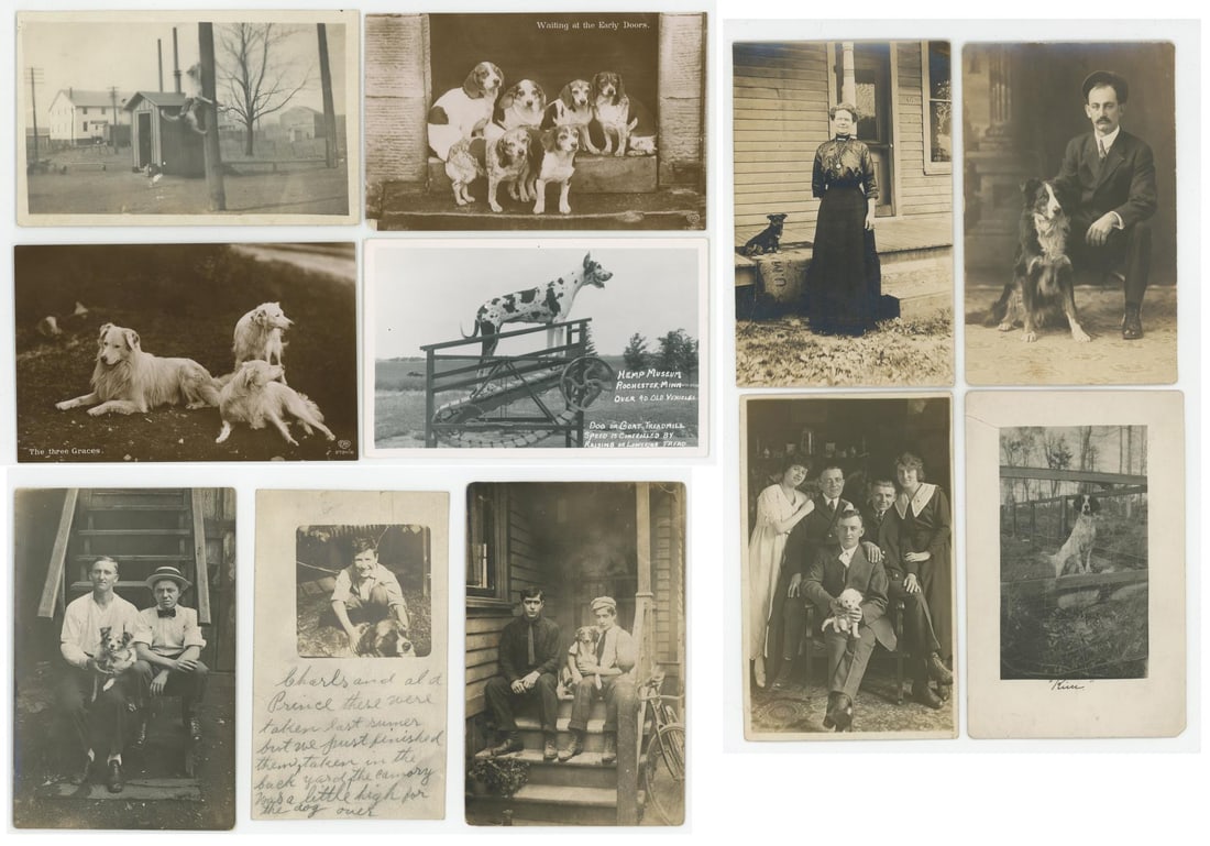 Collection of RPPC Postcards with Dogs (1 of 8)