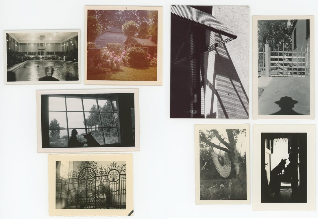 Light and Shadows Camera Trick Photos (1 of 6)