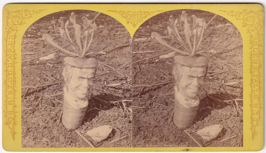 Halloween Indian Chief Carved Parsnip Stereoview (1 of 3)