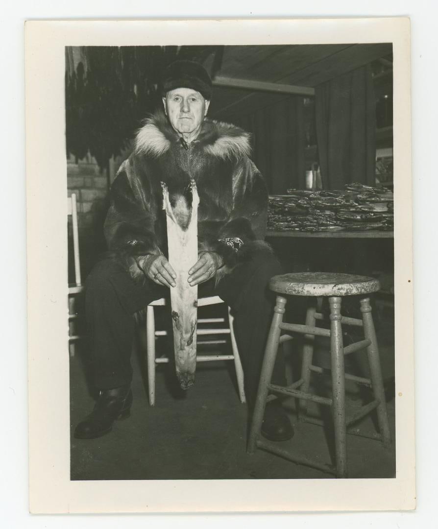 Alaskan Pine Marten Trapper Fur Buyer Photo: Nice image.