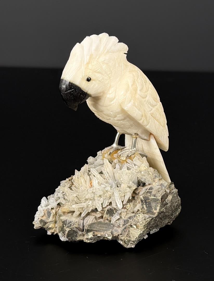 Alabaster Cockatoo on Pyrite (1 of 4)