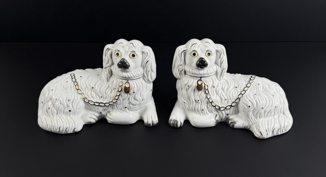 English Staffordshire Recumbent Spaniels Dogs (1 of 6)
