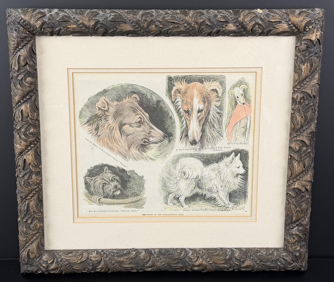 Louis Wain Dog Show at the Agricultural Hall Print (1 of 5)