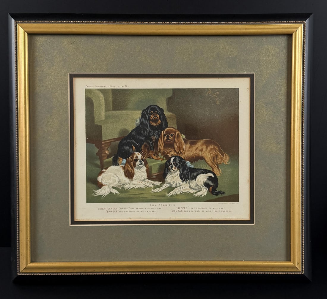 Vero Shaw Toy Spaniels Chromolithograph: Toy Spaniels. Originally appears in Cassell's Illustrated Book of the Dog(1890). 8" by 10" unframed, 15 1/4" by 17 1/4" framed. Chromolithograph. Vero Kemball Shaw (1850?1885) was a respected British
