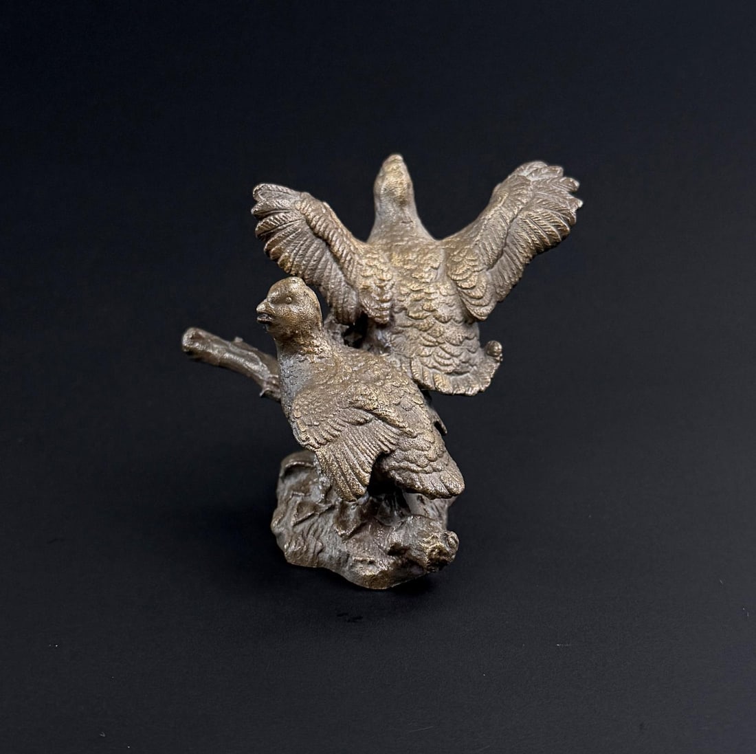 Avon Bronze Quails - 3