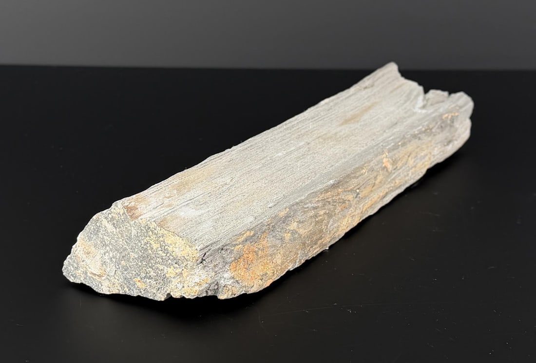 Petrified Wood Specimen: 2 1/2" by 3 5/8" by 12 1/4".