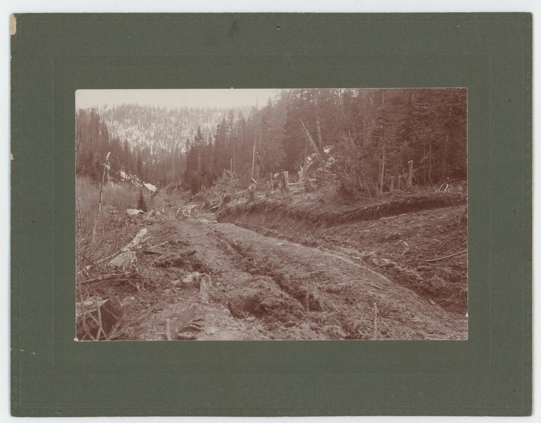 Denver Colorado Logging Road Photo (1 of 3)