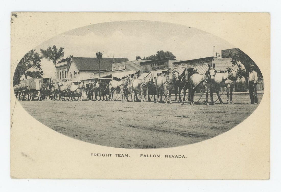 Freight Team Fallon Nevada Postcard (1 of 3)