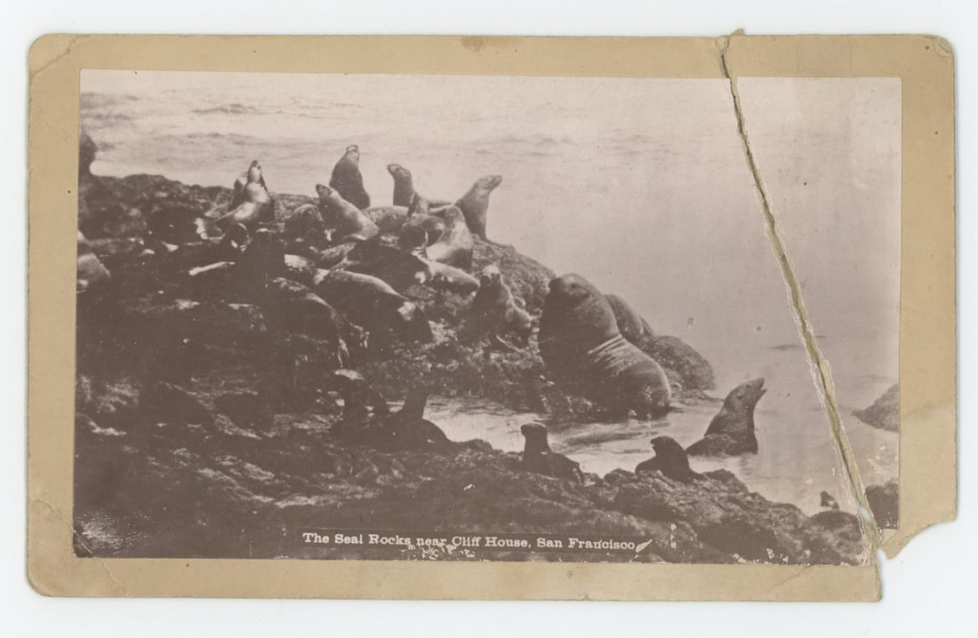 Seal Rock Cliff House San Francisco Photo (1 of 3)