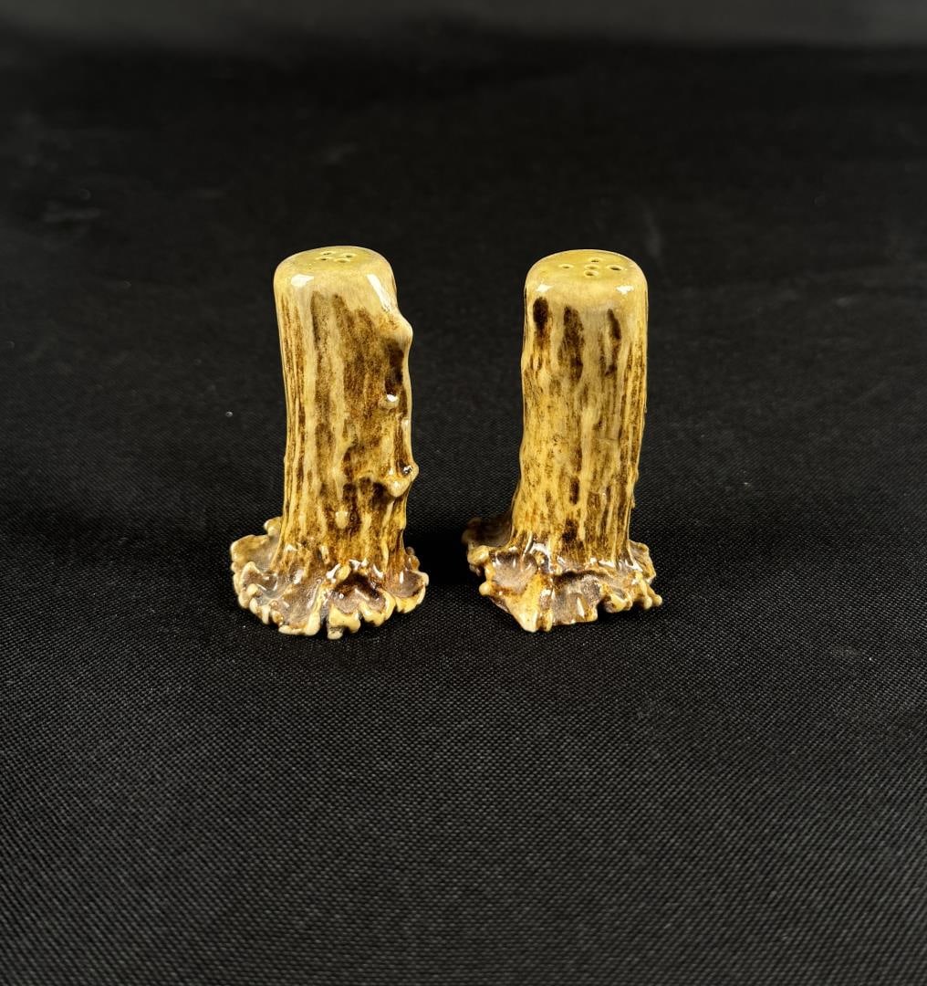 Deer Antler Horn Salt & Pepper Shakers (1 of 4)