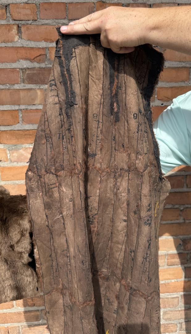 Fur Muff and Drape - 4