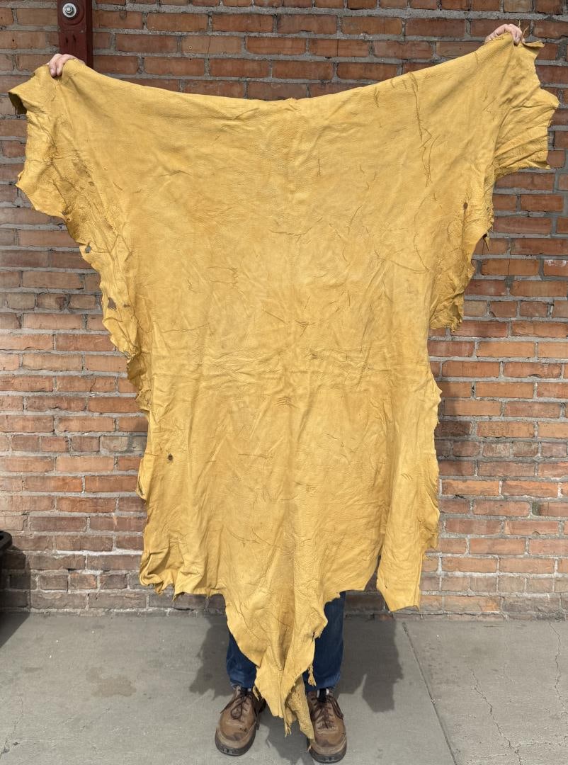Tanned Leather Montana Elk Hide: 47" by 61 1/2"