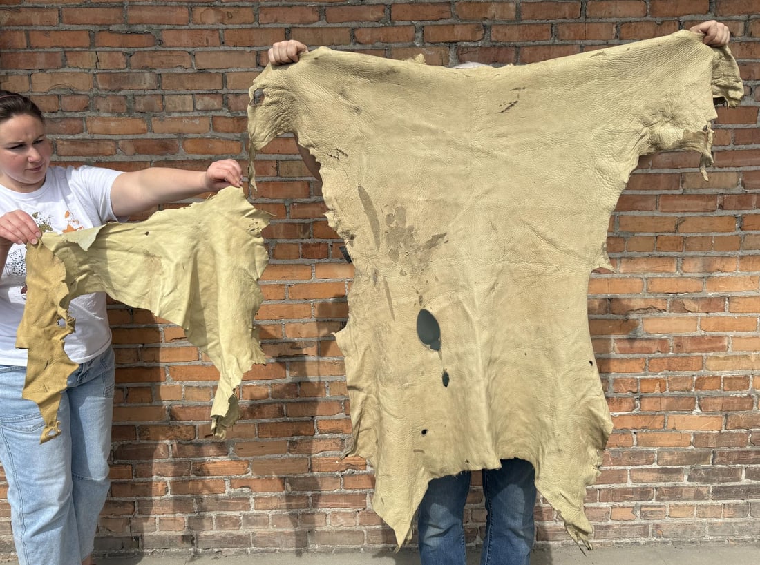 Tanned Leather Montana Deer Hides: Nice grouping. Largest is 54" by 37"