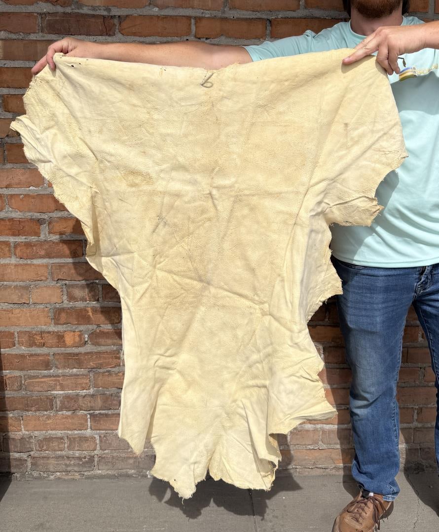 Tanned Leather Montana Deer Hide: 40" by 45".