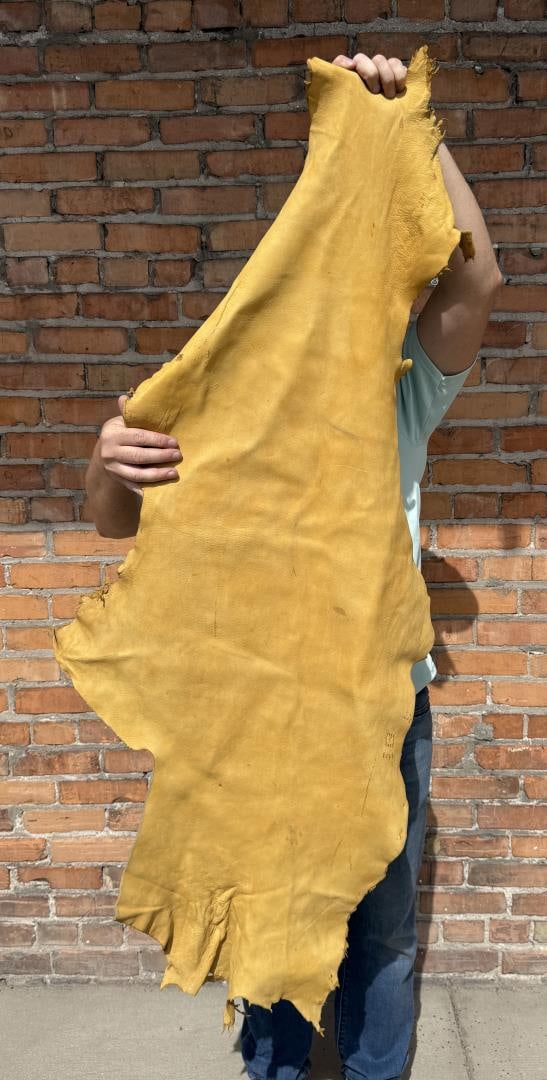 Tanned Leather Montana Elk Hide: 26" by 54"