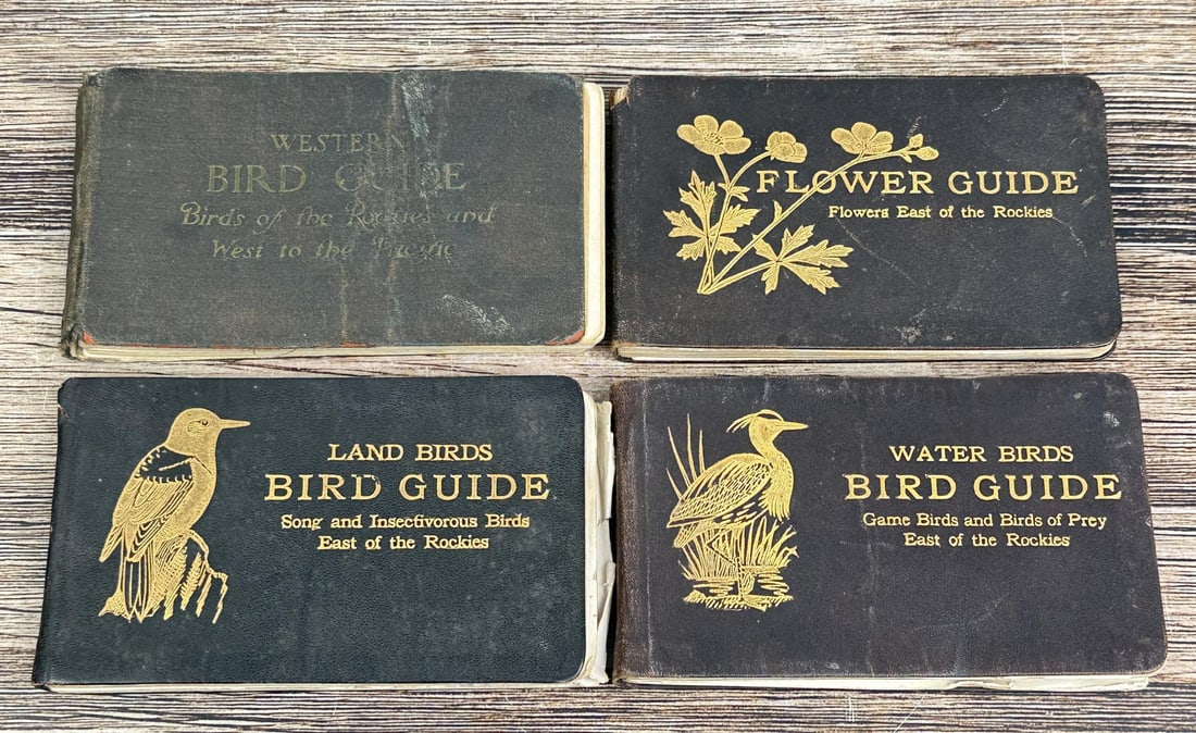 Flower Land Water Bird Guides of the Rockies: Nice grouping.
