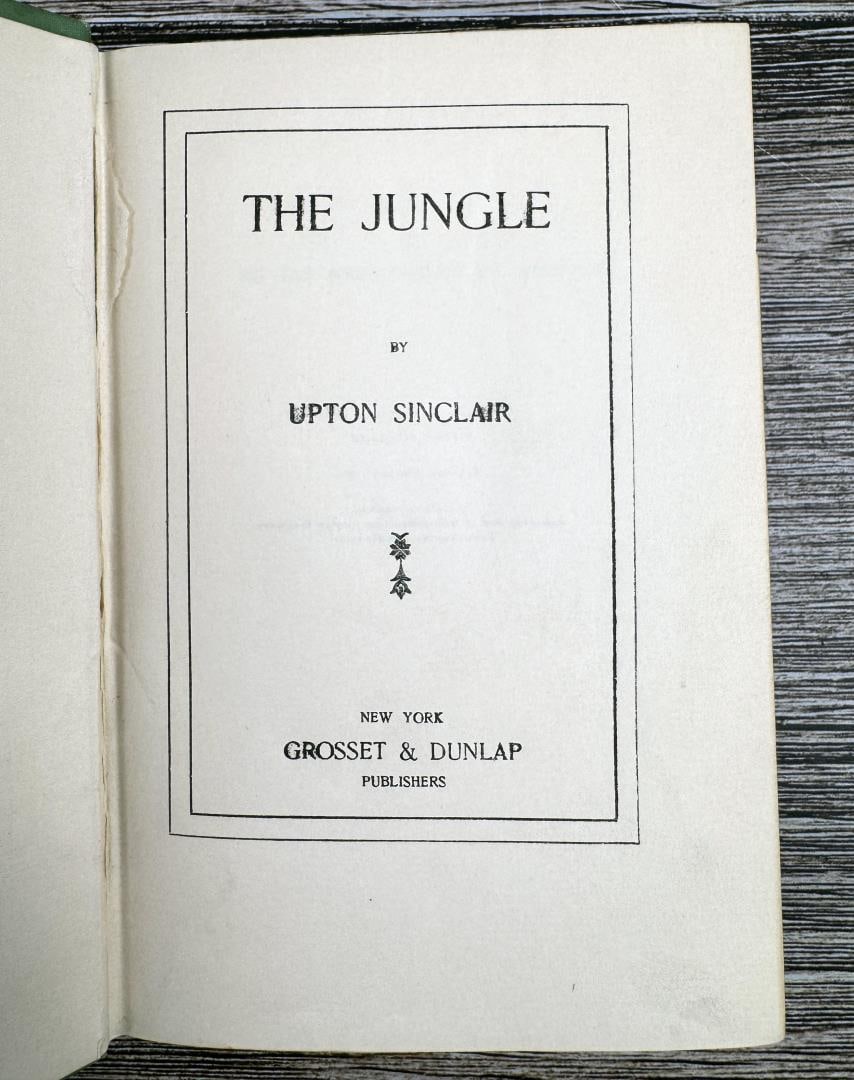 The Jungle - 5