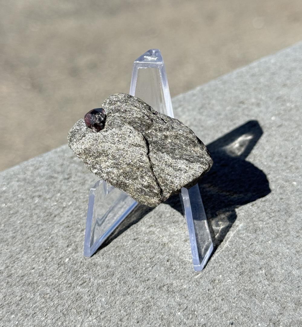 Almandine Garnet in Matrix Mineral Specimen: Nice example. 1 5/8" by 1 1/8" by 1/2".