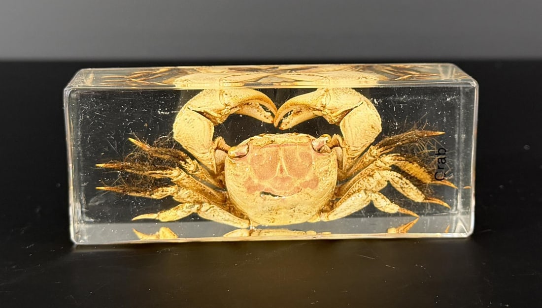 Lucite Crab Paperweight: 4 1/4" by 1 3/4" by 1"