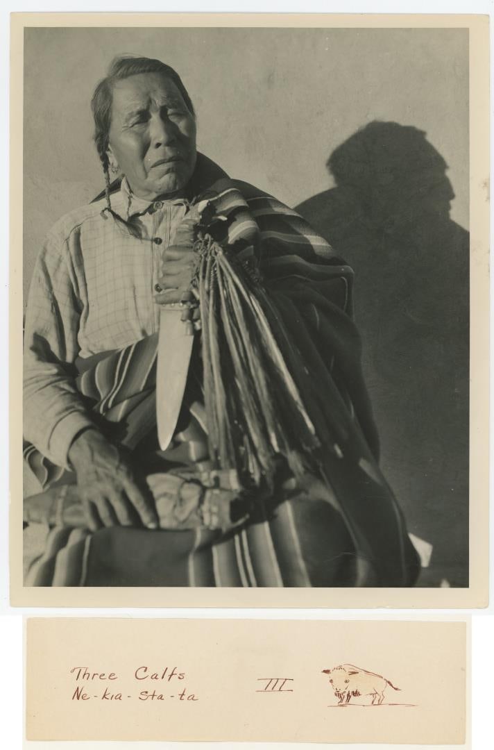 Titter Three Calfs Blackfoot Indian Montana Photo (1 of 4)