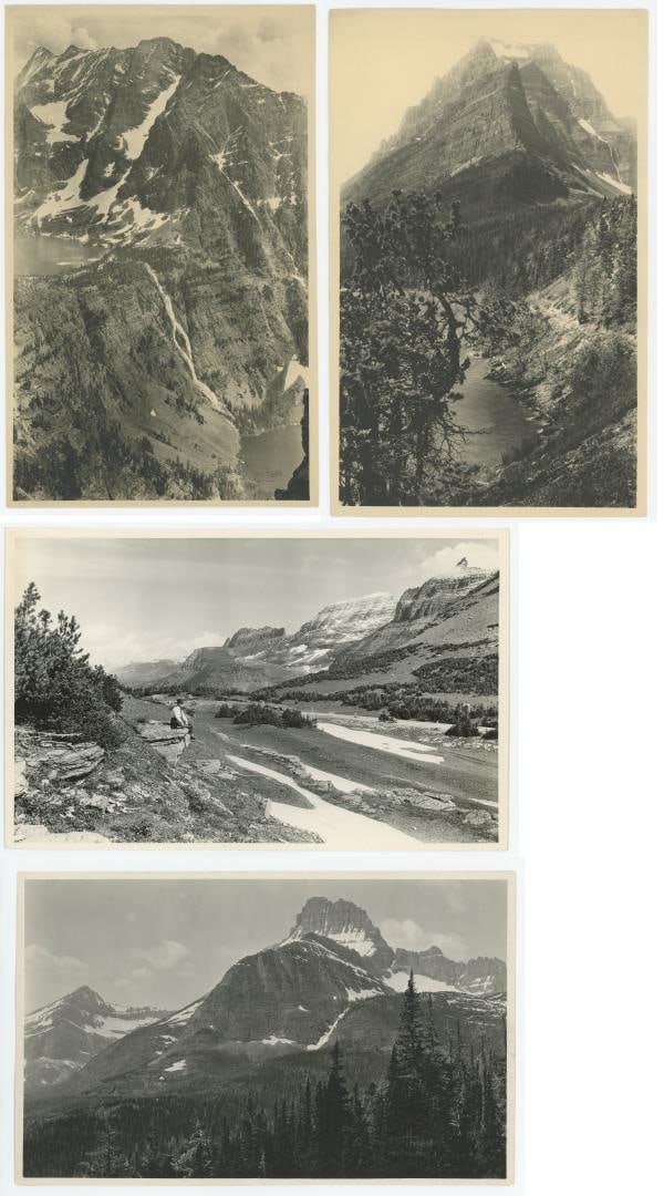 Glacier National Park Montana Photos: Nice grouping. TJ Hileman Photographer. Largest is 7" by 11".